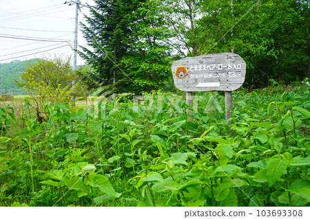北海道苫前町 北海道苫前町 103693308