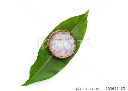 Toddy palm on white background. 103693485