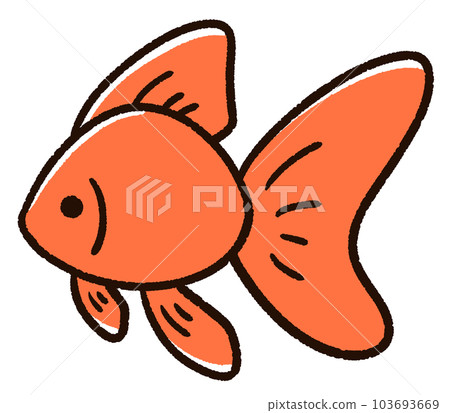 可愛的金魚琉金 可愛的金魚琉金 103693669