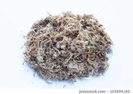 Dry sphagnum moss. Help plants retain moisture Dry sphagnum moss. Help plants retain moisture 103694160