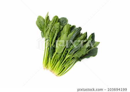 Fresh spinach on white background Fresh spinach on white background 103694199