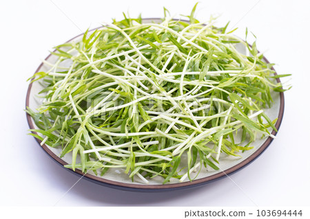 Water spinach sprouts. Organic vegetables 103694444
