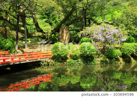 Kasugataisha Shinen Manyo Botanical Garden 103694596