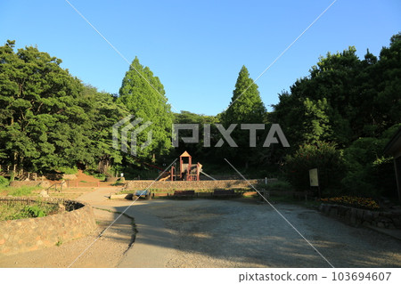 我在三池公園散步 103694607