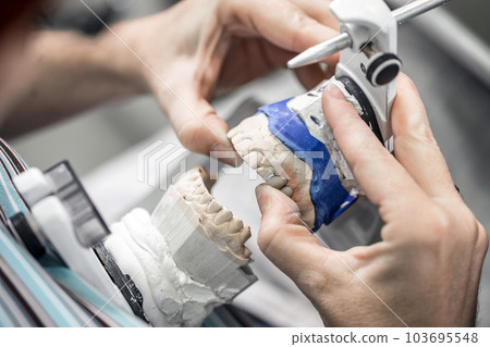Dental technician working Dental technician working 103695548