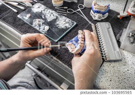 Dental technician working 103695565