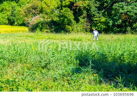 Mowing masters 103695696