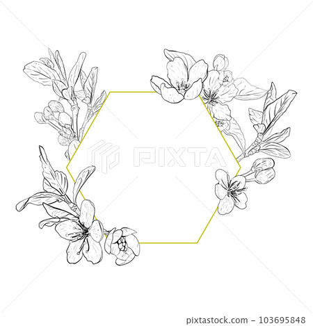 Vector illustration frame composition with flowers and leaves of cherry, sakura, apple, plum, wild cherry plum, bird cherry, pear. Realistic contour, graphic drawing. For cards, logo, photos, stickers Vector illustration frame composition with flowers and leaves of cherry, sakura, apple, plum, wild cherry plum, bird cherry, pear. Realistic contour, graphic drawing. For cards, logo, photos, stickers 103695848