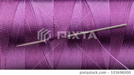 Thread and needle 103696000