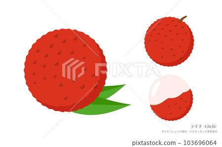 Delicious and beautiful red lychee vector illustration material_summer fruits, food, fruits 103696064