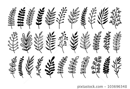 Decorative plant branch. Decorative hand drawn leaf branches, botanical floral element, herb decor, twig with leaves, doodle ornament silhouette. Vector set 103696348