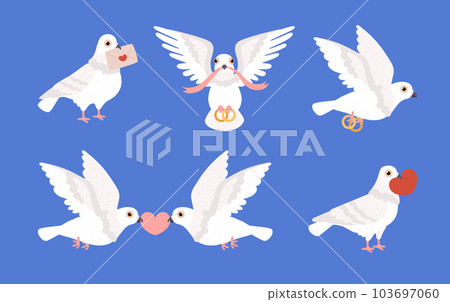 Romantic pigeons set, bird carrying wedding ring, heart and love letter - cartoon flat vector illustration isolated. Romantic pigeons set, bird carrying wedding ring, heart and love letter - cartoon flat vector illustration isolated. 103697060