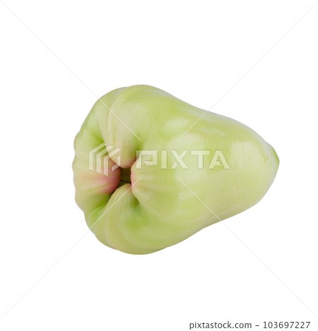 green rose apple isolated on a white background. 103697227