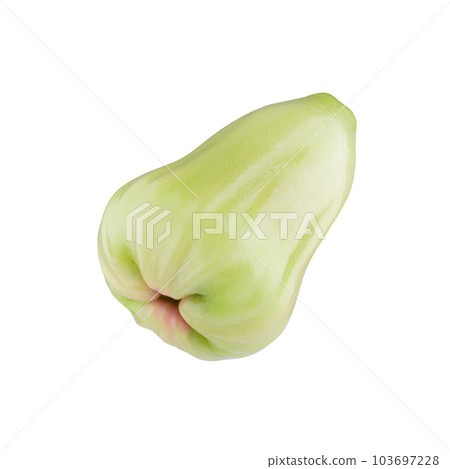 green rose apple isolated on a white background. 103697228