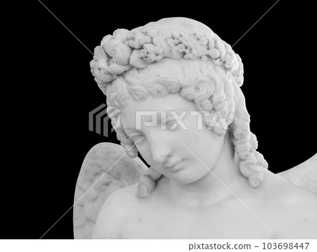 Ancient statue. Cupid with doves sculpture of Luigi Bienaime in the State Hermitage Museum. Masterpiece isolated photo with clipping path 103698447