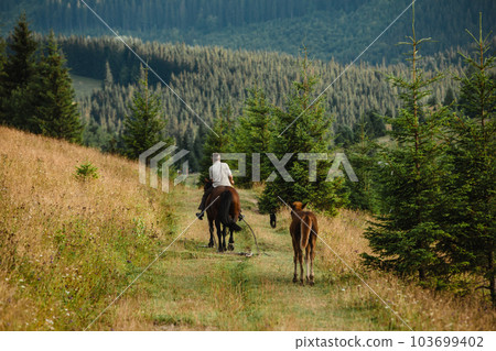 a man is riding a horse, a foal is walking next to him a man is riding a horse, a foal is walking next to him 103699402