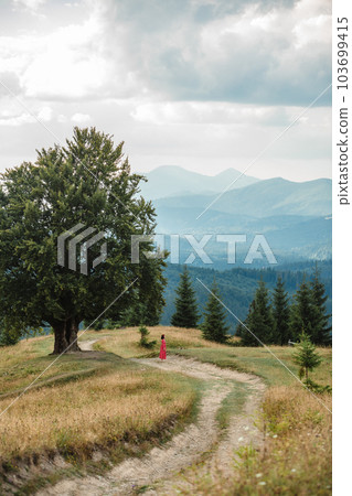 woman on the path near old big beech tree in the mountains woman on the path near old big beech tree in the mountains 103699415