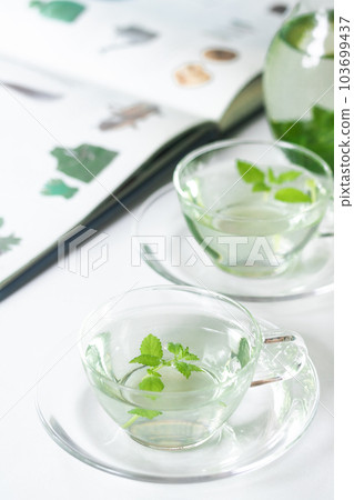 Herbal tea, lemon balm with wide range of efficacy (medical herb) Herbal tea, lemon balm with wide range of efficacy (medical herb) 103699437