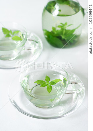 藥效廣泛的花草茶、檸檬香脂（藥草） 103699441
