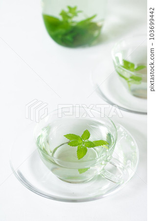 藥效廣泛的花草茶、檸檬香脂（藥草） 103699442