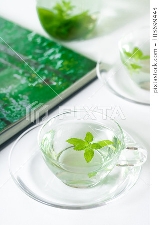 Herbal tea, lemon balm with wide range of efficacy (medical herb) 103699443