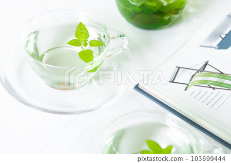 Herbal tea, lemon balm with wide range of efficacy (medical herb) 103699444