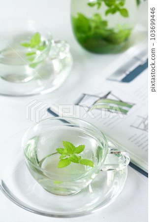 Herbal tea, lemon balm with wide range of efficacy (medical herb) 103699446