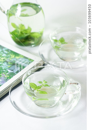 藥效廣泛的花草茶、檸檬香脂（藥草） 103699450