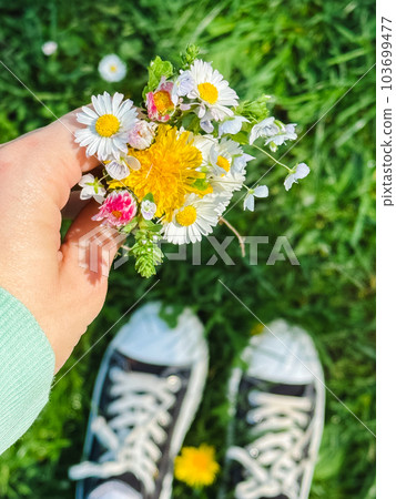 a small bouquet of wildflowers in the hands against the background of the river a small bouquet of wildflowers in the hands against the background of the river 103699477