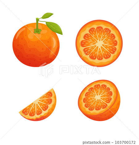 Set of orange fruit slices. Whole orange with leaves, half, slice and circle Set of orange fruit slices. Whole orange with leaves, half, slice and circle 103700172