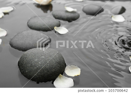 Spa stones and rose petals in water, closeup. Zen lifestyle 103700642