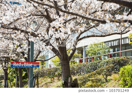 Spring in Firefly Town Spring in Firefly Town 103701249