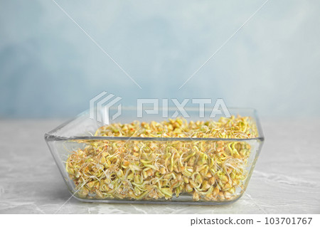 Glass bowl with sprouted green buckwheat on light grey table 103701767