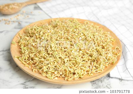 Wooden plate of sprouted green buckwheat on white marble table 103701778