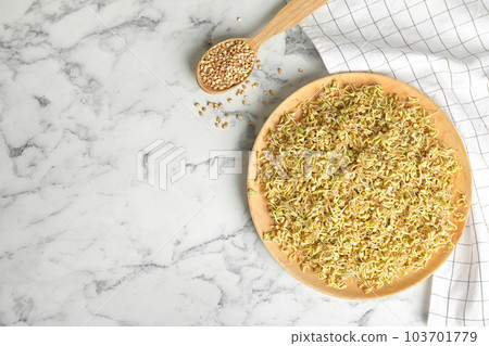Flat lay composition with green buckwheat on white marble table, space for text Flat lay composition with green buckwheat on white marble table, space for text 103701779
