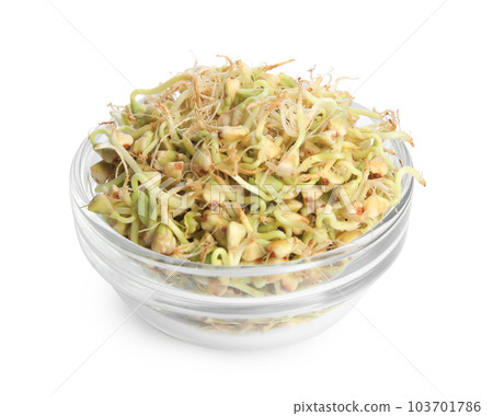 Glass bowl of sprouted green buckwheat isolated on white 103701786