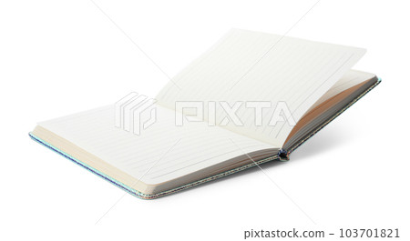 Stylish open notebook with hardcover isolated on white 103701821