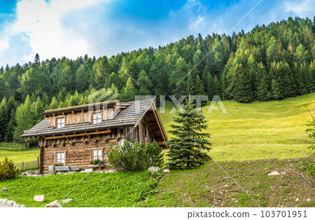 Wooden alpine cabin Wooden alpine cabin 103701951