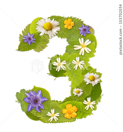 Green leaf number 103702034