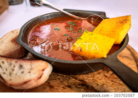 Gulyas, traditional Hungarian stew, made with beef, onions, paprika, tomatoes and various spices. 103702087