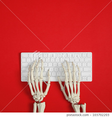 Human skeleton using computer keyboard on red background, top view. Space for text 103702203