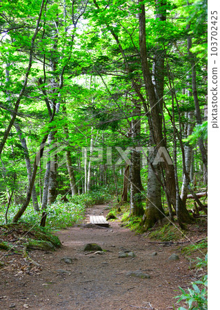 Shiretoko Goko Ground Promenade 103702425