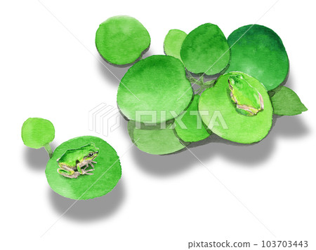 Analog Watercolor Amazon Frog Pit Over Tree Frog Analog Watercolor Amazon Frog Pit Over Tree Frog 103703443