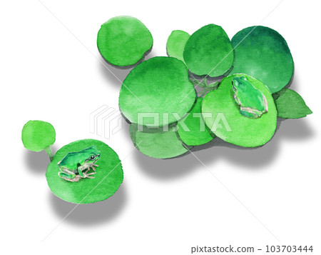 Analog Watercolor Amazon Frog Pit Over Tree Frog Analog Watercolor Amazon Frog Pit Over Tree Frog 103703444