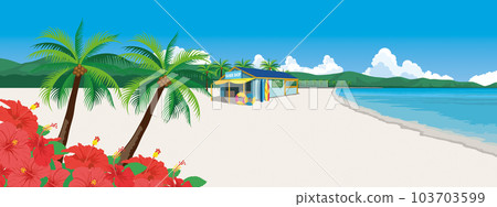 Scenery of the tropical beach 103703599
