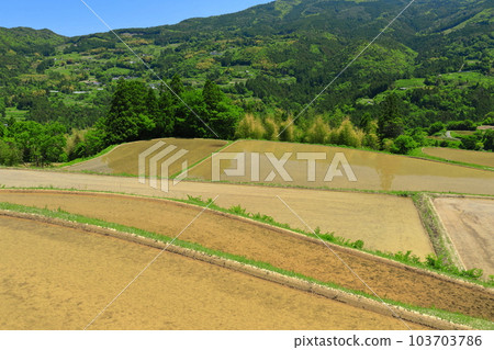 [Kochi Prefecture] Tosa/Honzan Sky Terraced Rice Fields (Ise River Terraced Rice Fields) 103703786