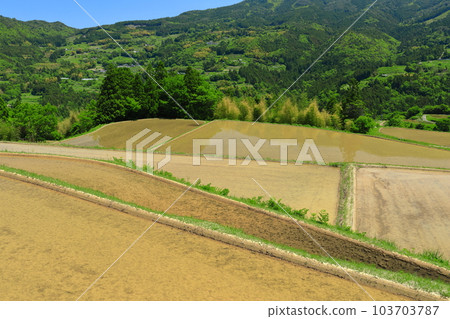 [Kochi Prefecture] Tosa/Honzan Sky Terraced Rice Fields (Ise River Terraced Rice Fields) 103703787