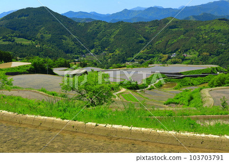 [高知縣]土佐/元山天空梯田（高須梯田） 103703791
