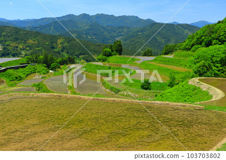 [高知縣]土佐/元山天空梯田（高須梯田） 103703802