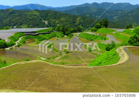 [高知縣]土佐/元山天空梯田（高須梯田） 103703806
